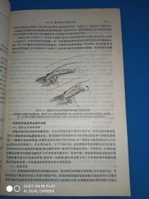 青光眼的基础和临床