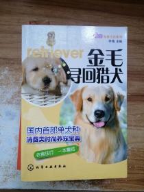 宠尚生活系列：金毛寻回猎犬