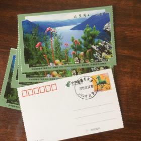 明信片
新疆喀纳斯湖邮戳明信片五枚
可挂刷