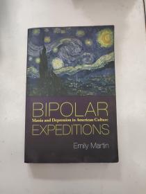 Bipolar Expeditions：Mania and Depression in American Culture