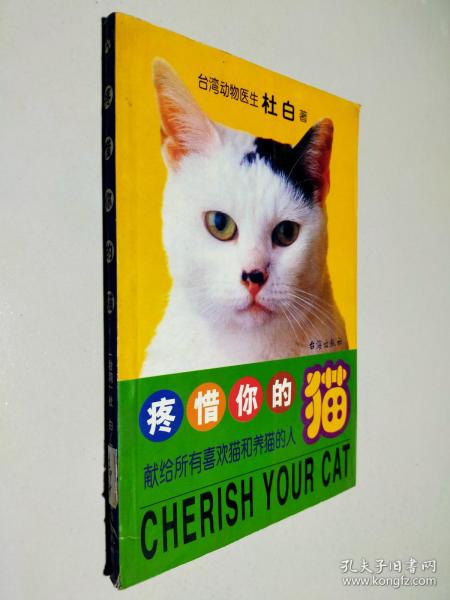 疼惜你的猫