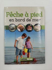 Pêche à pied en bord de mer (French) 海边徒步捕鱼