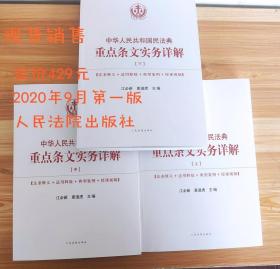 中华人民共和国民法典重点条文实务详解上中下三册