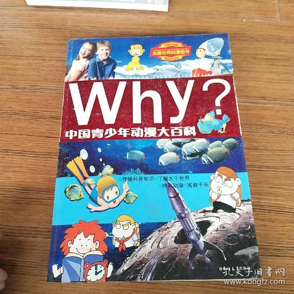 Why？：中国青少年动漫大百科