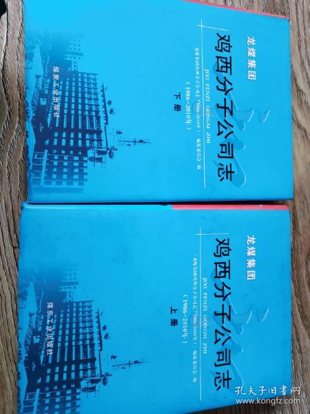龙煤集团鸡西分子公司志(1986-2010年上下)(精)