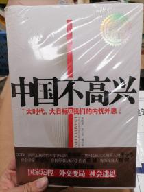 中国不高兴：大时代大目标及我们的内忧外患