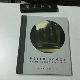 PETER BOGGS  TRANSFIGURED REALITIES