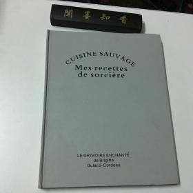 我的女巫食谱：野菜烹饪 手绘图集Mes recettes de sorcière : cuisine sauvage 法文原版艺术书