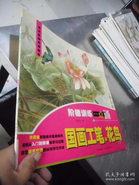 阶梯训练一点通：国画工笔、花鸟