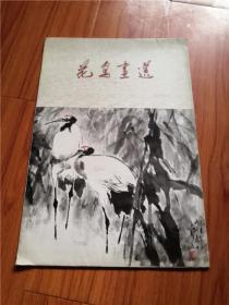 花鸟画选（一）12张全