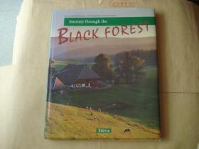 Journey through the BLACK FOREST【外文原版画册】
