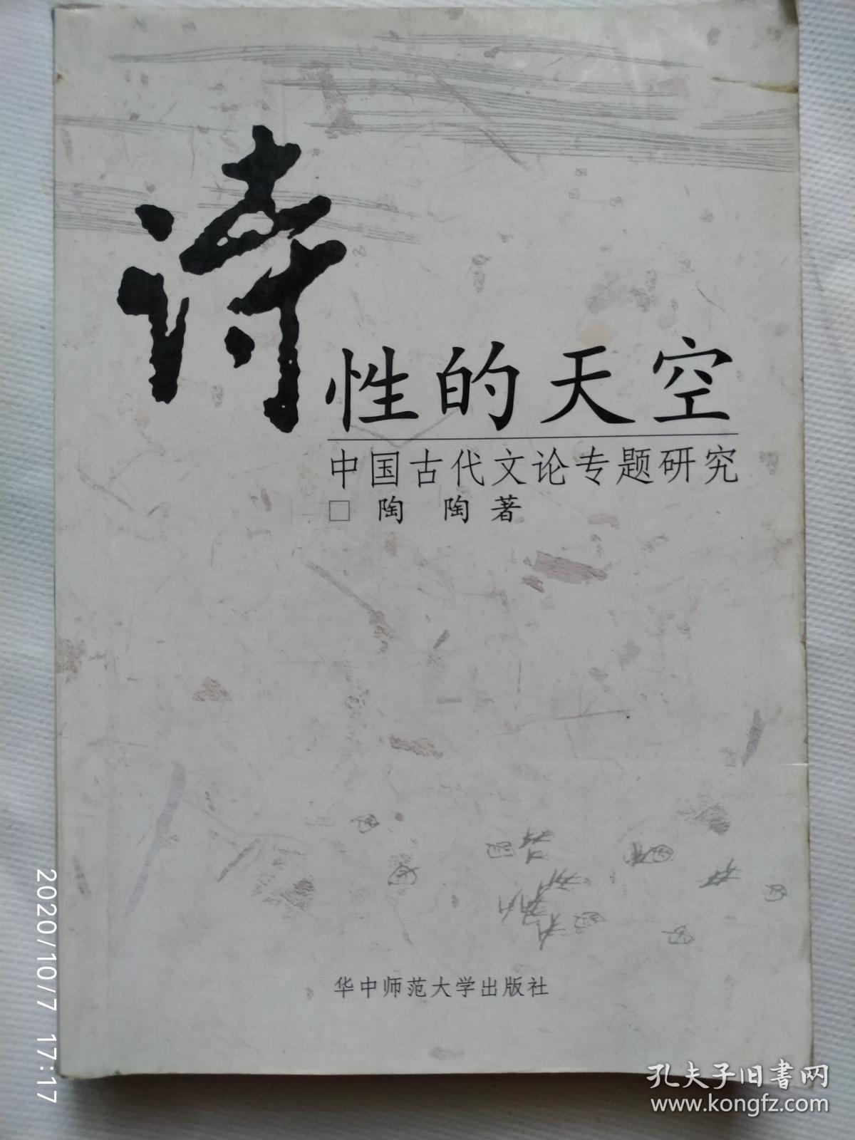 诗性的天空:中国古代文论专题研究