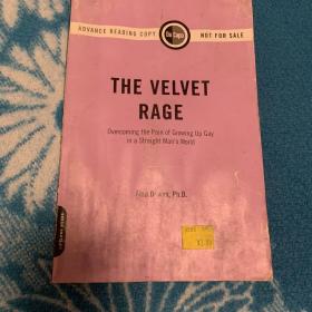 狂躁天鹅绒 克服在直男世界中成长为同志的苦恼 The Velvet Rage：Overcoming the Pain of Growing Up Gay in a Straight Man's World