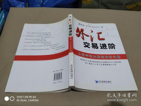 外汇交易进阶：从新手到大师的成功之路