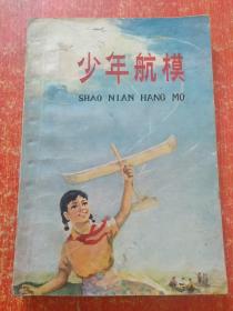 2册合售：少年航模(内附两张:小燕号弹射模型飞机图纸)、有趣的数学(少年自然科学丛书)