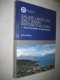 SALINE LAKES AND SALT BASIN DEPOSTS IN CHINA 中国盐湖和盐盆地沉积研究