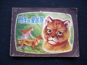 连环画 野生的艾尔莎