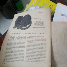 东风画刊1960年第1期(缺封面和封底、内缺第5页、第6页`笫19-22页，自然旧、内品好)