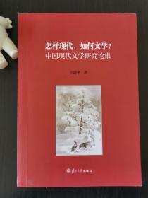 怎样现代，如何文学？ 中国现代文学研究论集