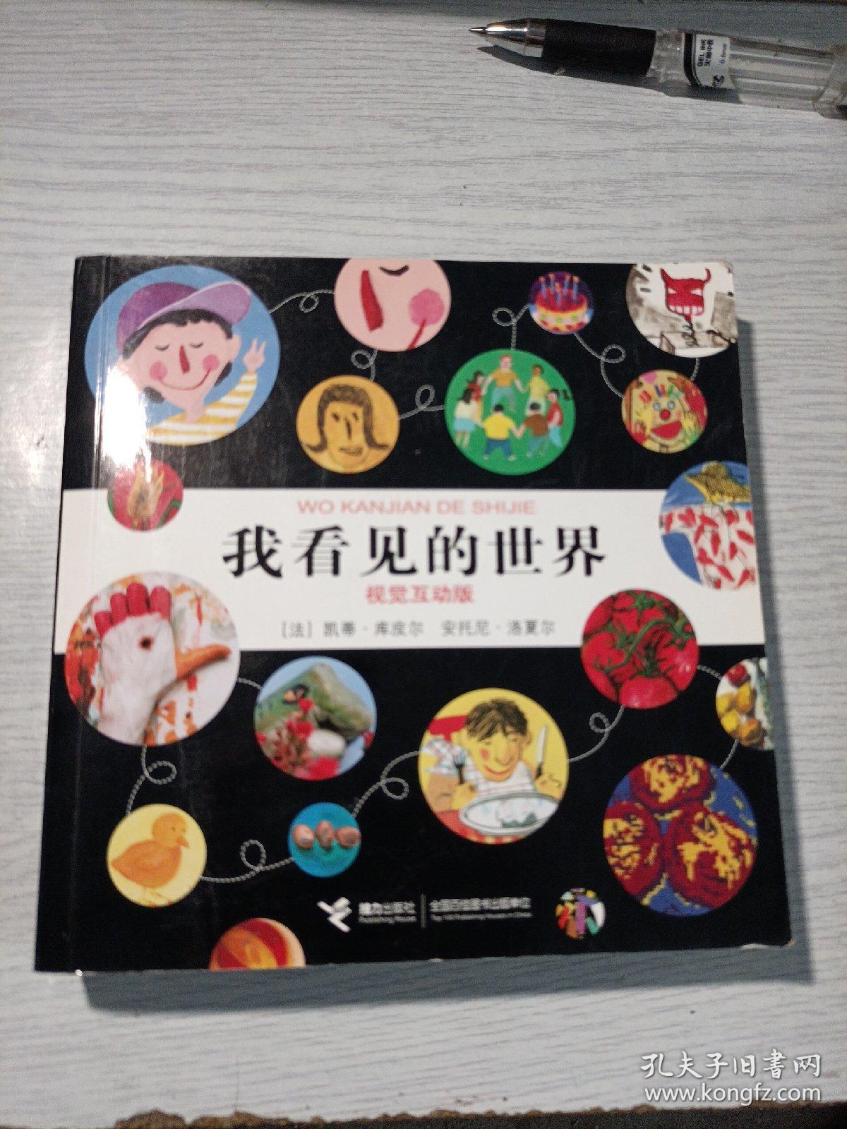 我看见的世界（视觉互动版）