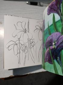 我看见的世界（视觉互动版）