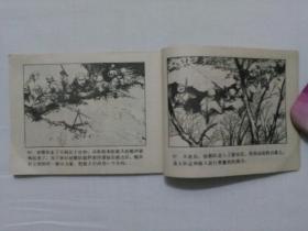 白川将军的覆灭