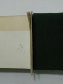 白川将军的覆灭