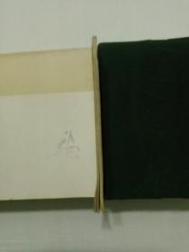白川将军的覆灭
