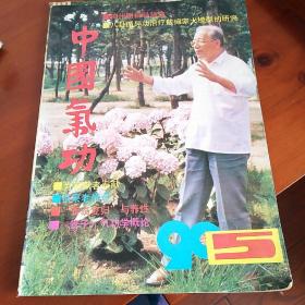 中国气功。1990，5。