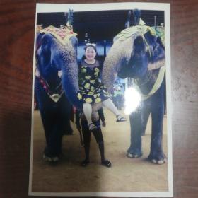 彩色照片一张 美女坐大象
