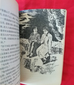 朱蕾（这是描写地质队员的长篇小说，描写了新一代知识分子锻炼成长及爱情故事。内有黑白插图，1978年一版一印）  A柜上左7