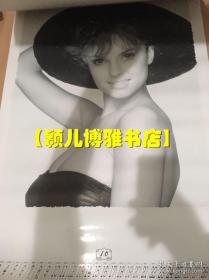 1996年丽人(含封面 12张全)月历、年画、年历、画片、日历、挂历
