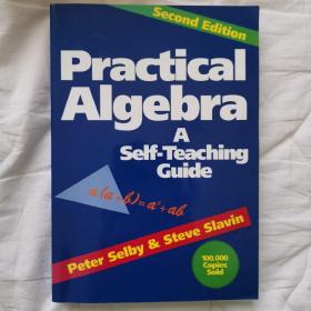 Practical Algebra: A Self-Teaching Guide, 2nd Edition