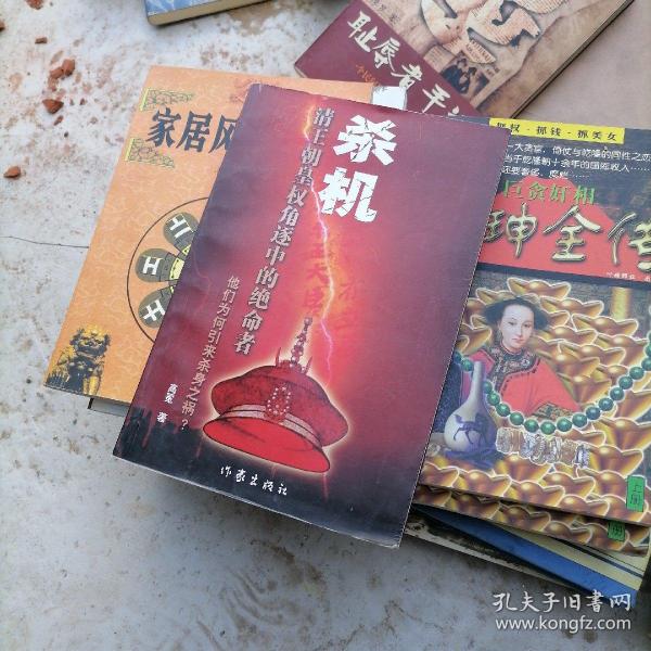 杀机:清王朝皇权角逐中的绝命者