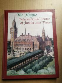 THE HAGUE INTERNATIONAL CENTE OF JUSTICE AND PEACE