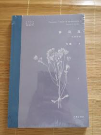 落花乱：代薇诗选