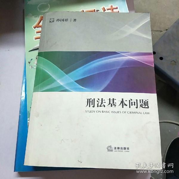 法学研究生教学书系：刑法基本问题