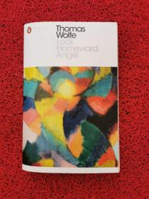 Thomas Wolfe look homeward Angel