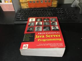 Professional Java Server Programming