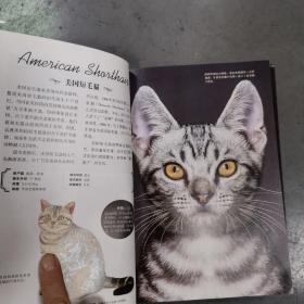 猫(精选48种世界名猫，高清美图，揭示纯种猫鲜为人知的历史）