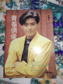 青春偶像杂志 珍藏本 林志颖封面 1993