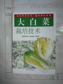 大白菜栽培技术