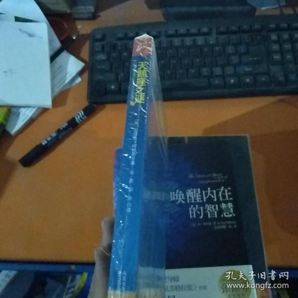 天鹅座之谜：破译宇宙和生命起源的古老秘密