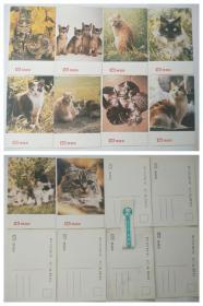 猫mao明信片（10张）