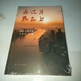 在这片热土上：浦东开发开放30年诗选