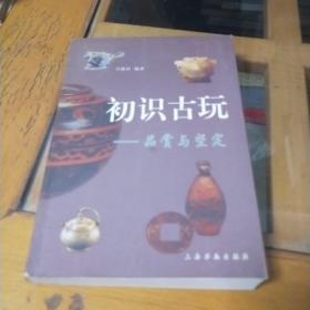 初识古玩：品赏与鉴定