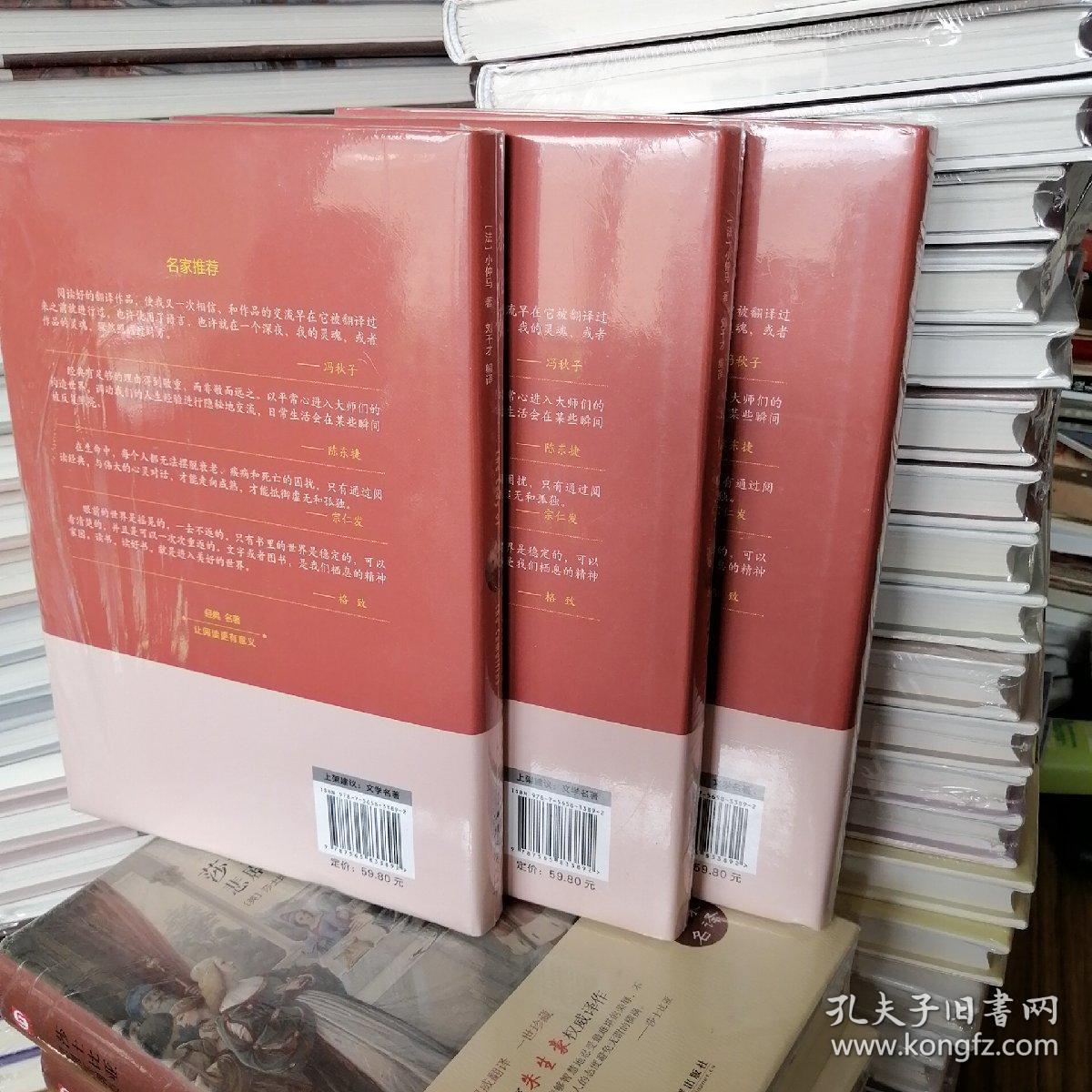 【全新塑封】茶花女（名家名译）