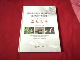 渤海山东海域海洋保护区生物多样性图集——常见鸟类（正版品佳未阅覆膜）