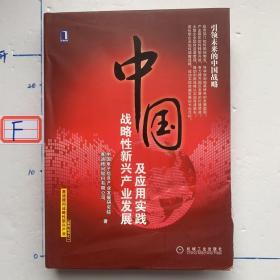 中国战略性新兴产业发展及应用实践