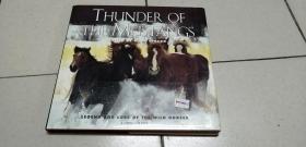 Thunder of the Mustangs: Legend and Lore of the Wild Horses